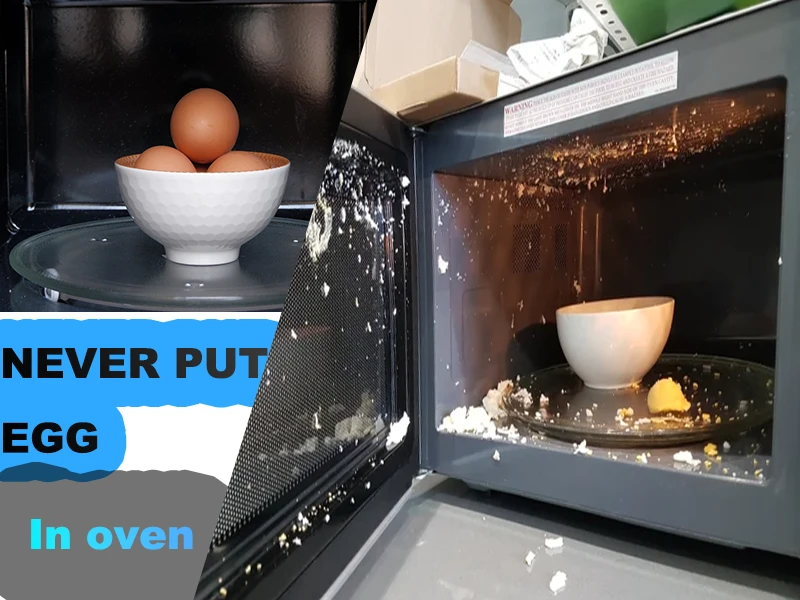 never put eggs in microwave oven